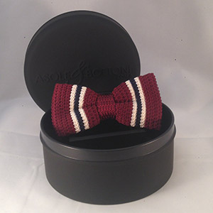 Papillon Bordeaux Stripe <br/>  White and Navy